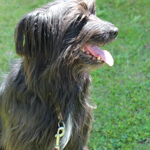 Ausflug im Mai 2016 (12)